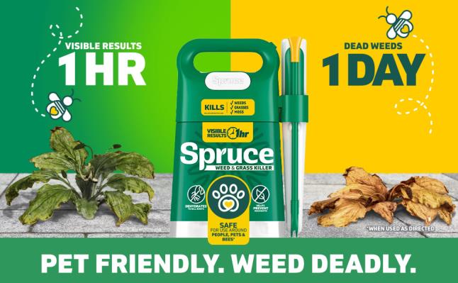 Your Guide to Choosing a Worry-Free Weed Killer
