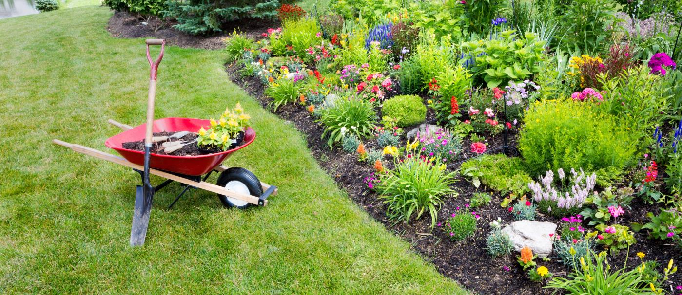 Simple Strategies to Tackle Weeds Effectively