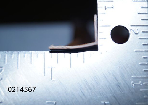 Bunk Bug Seal  (87")