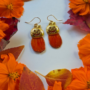 Orange Cosmos Pumpkin Earrings- 14K GF Orange Cosmos Pumpkin Earrings- 14K GF