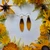 Black-Eyed Susan Earrings- Simple 14K GF