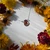 Coreopsis Flower Petal Wishbone Necklace- Sterling Silver