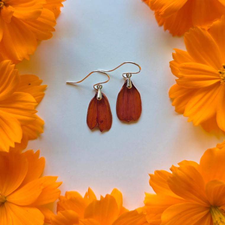 Orange Cosmos Flower Petal Earrings- Small Simple Sterling Silver