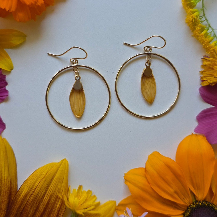 Sunflower Petal Round Frame Earrings- 14k GF