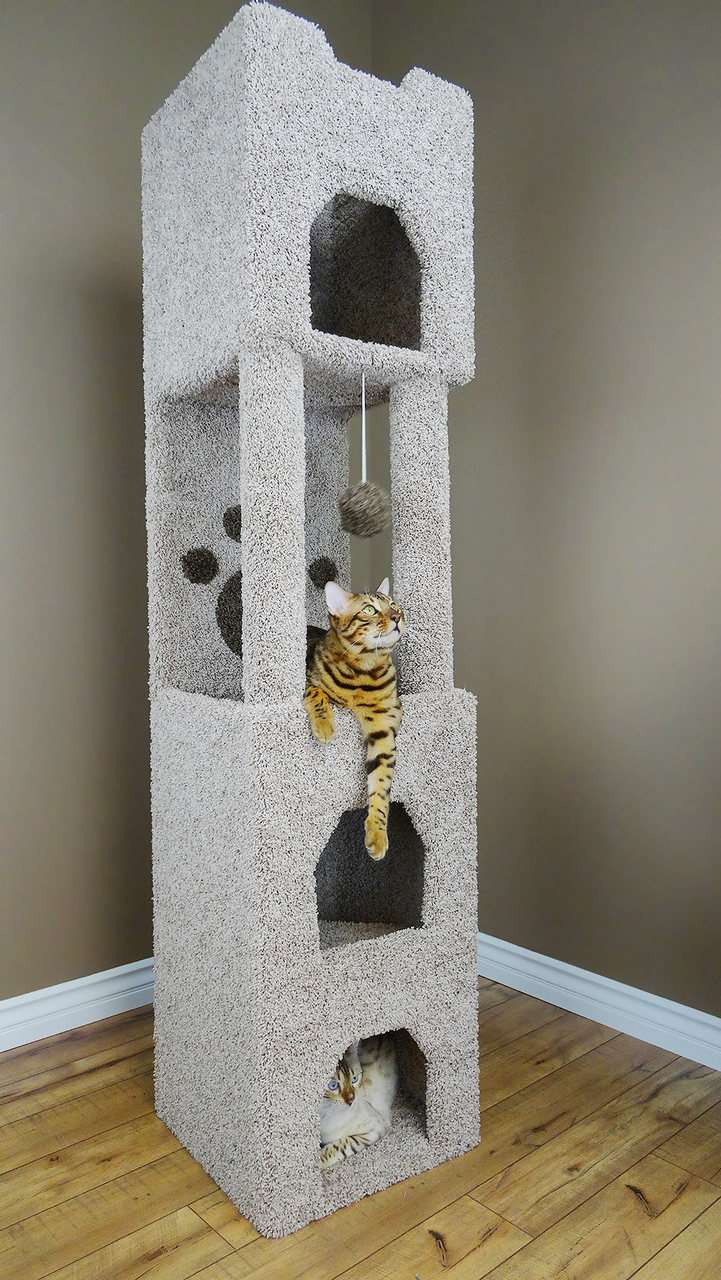 tall cat condo