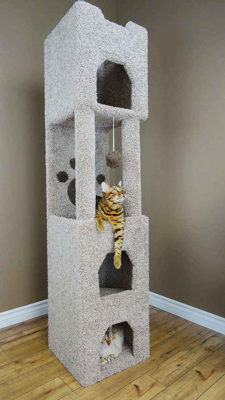 New Cat Condos - Premier 6-foot Cat Tower