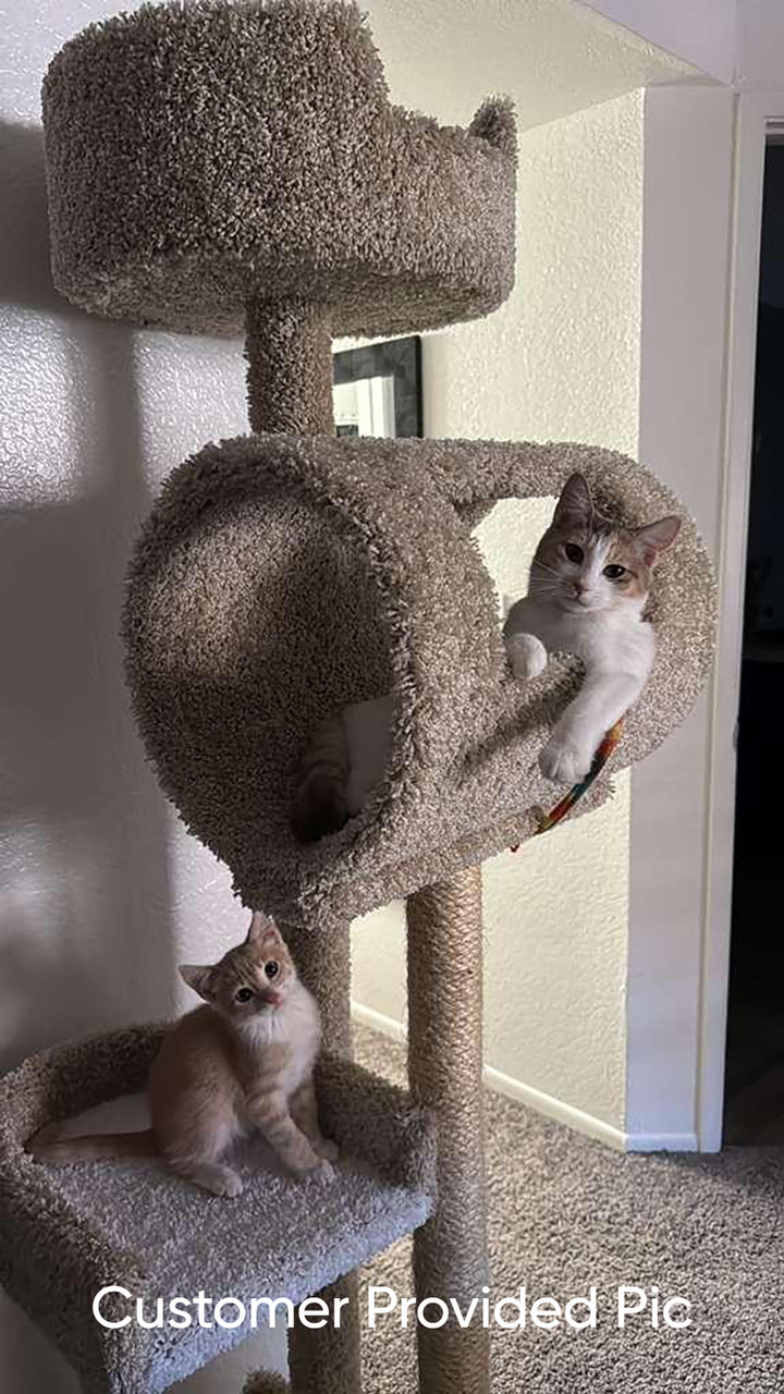 Deluxe Cat Tower for Large Cats – Multi-Level Solid Wood Cat Tree