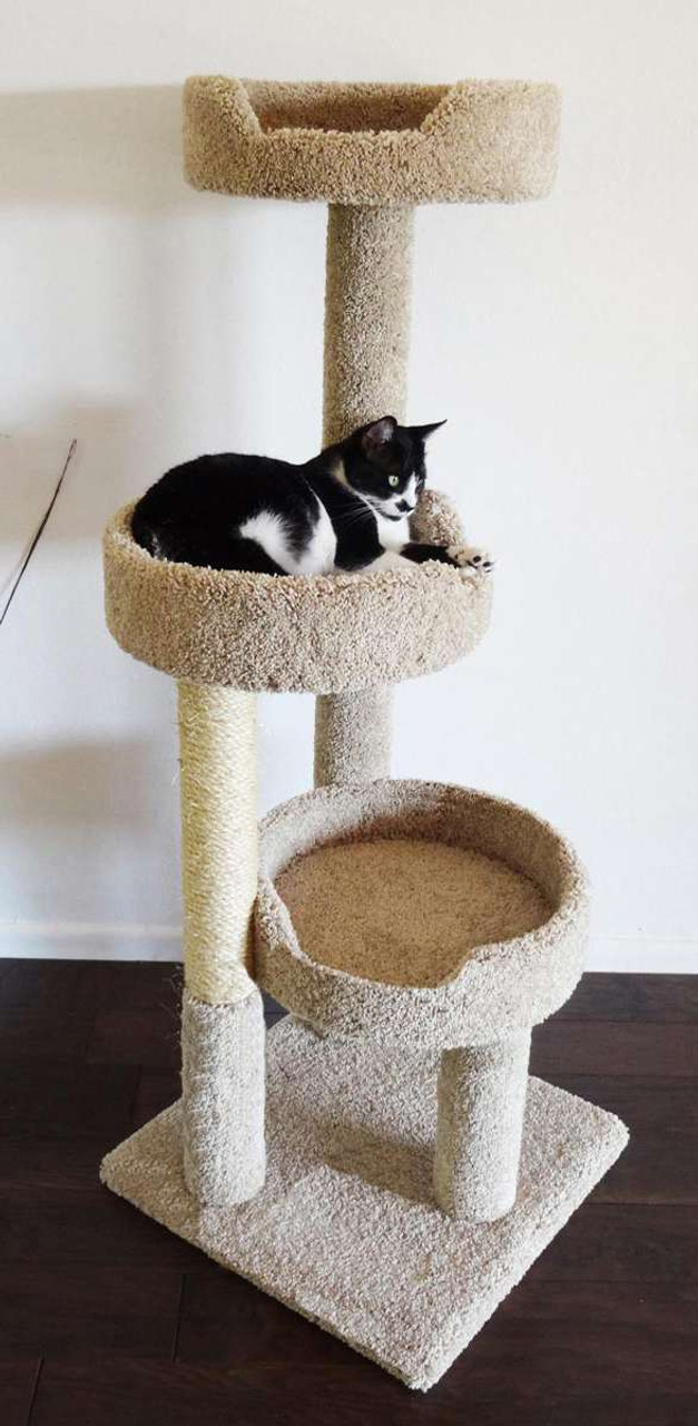 New Cat Condos Cat Climbing Tree for Large Cats