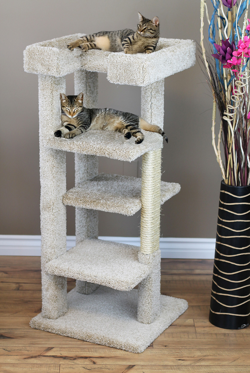 Carpet Cat Scratcher New Cat Condos Large Cat Tower Cat Tower With