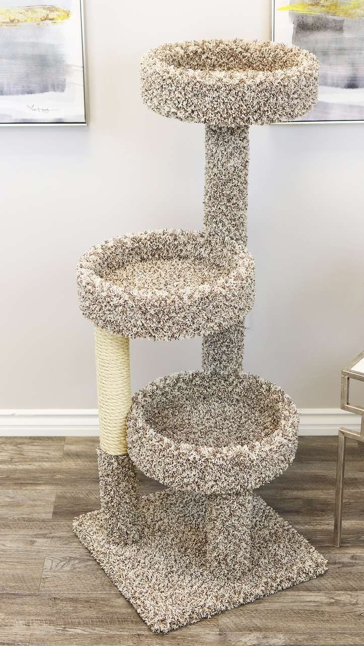 carpeted cat trees and condos