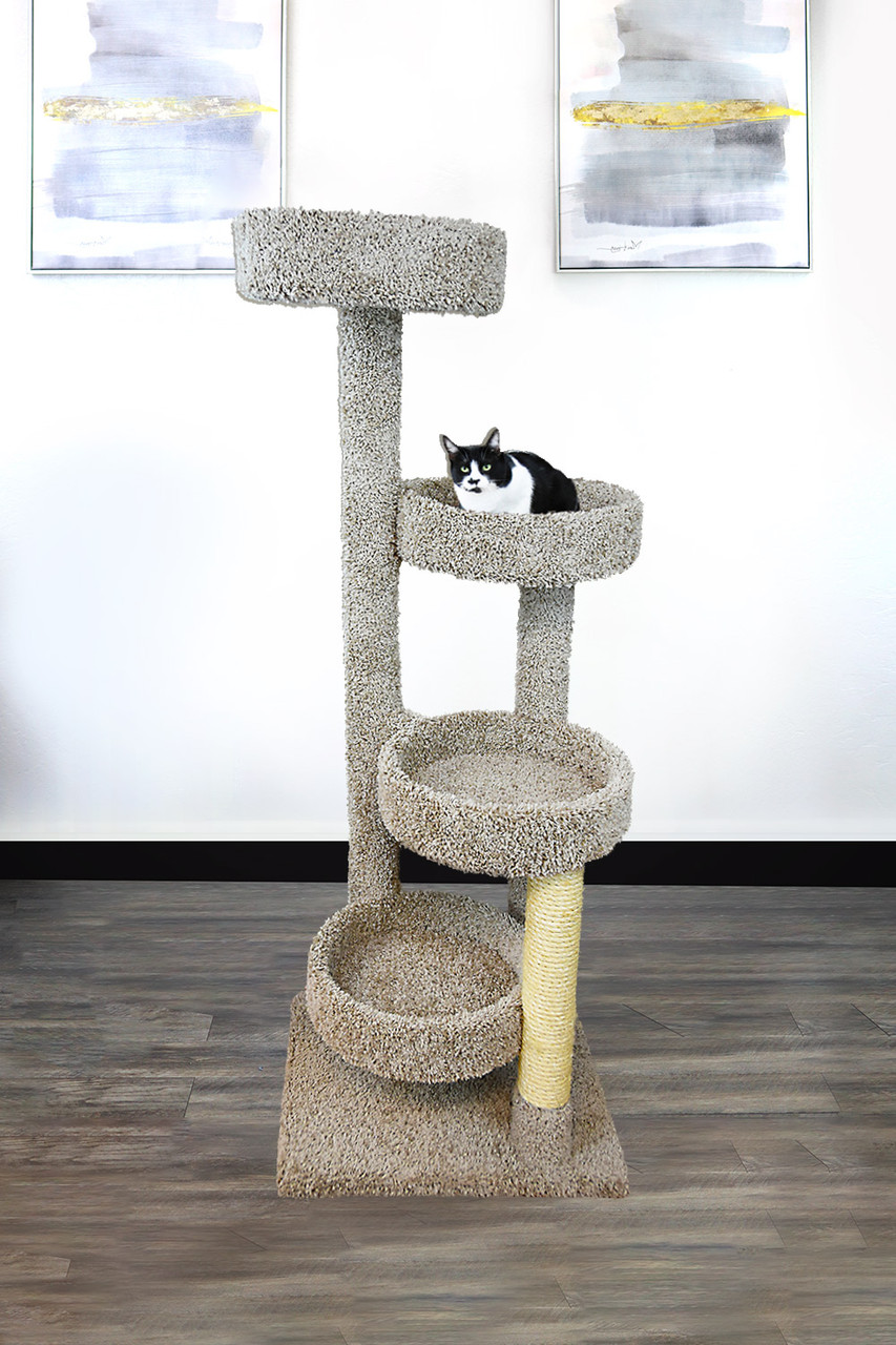 Largest cat shop tower