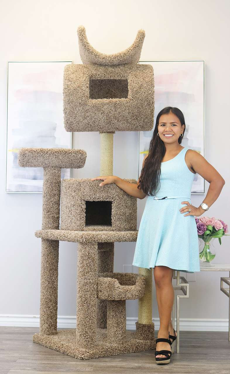 carpeted cat trees and condos