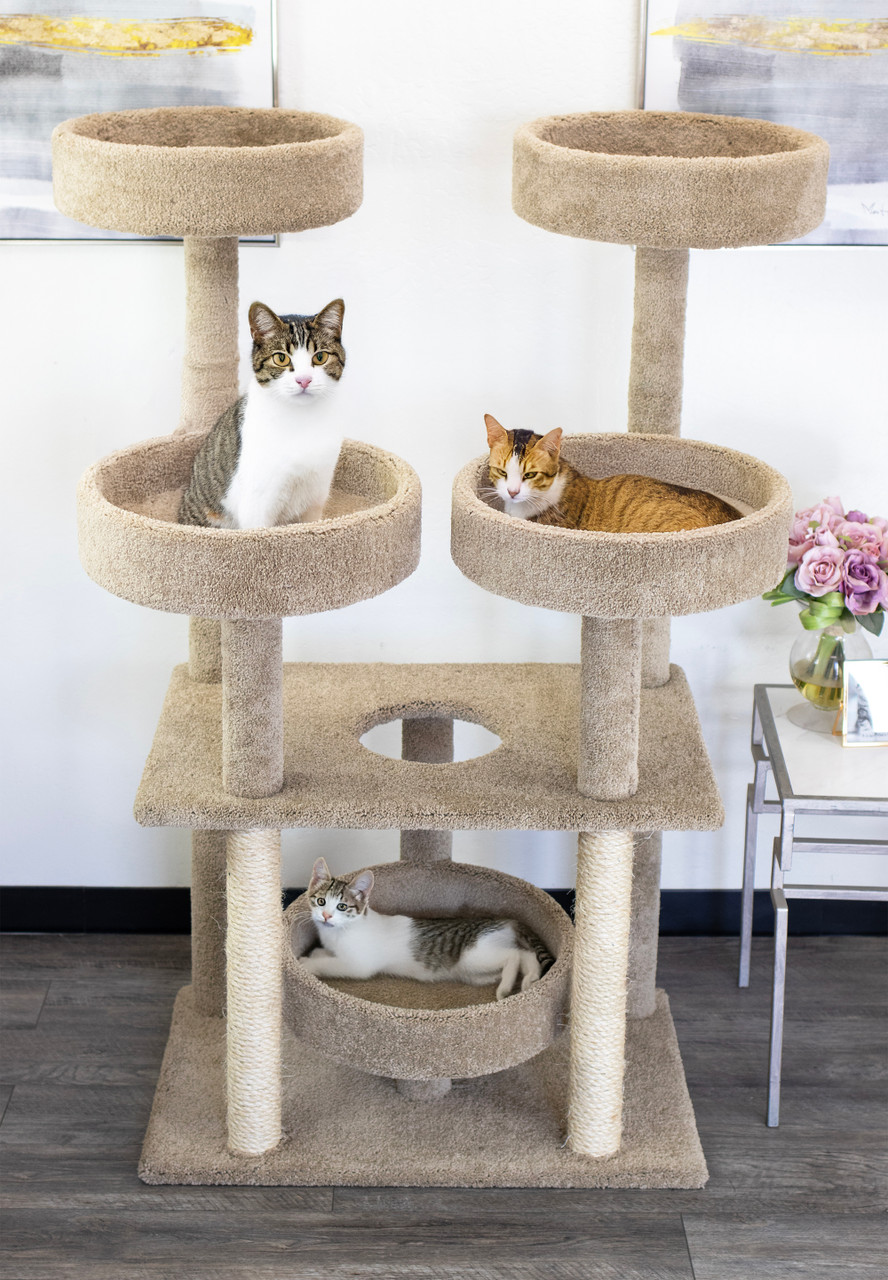 Diy Cat Scratcher Free Cat Tree Pawz Road Aesthetic Adult Cactus