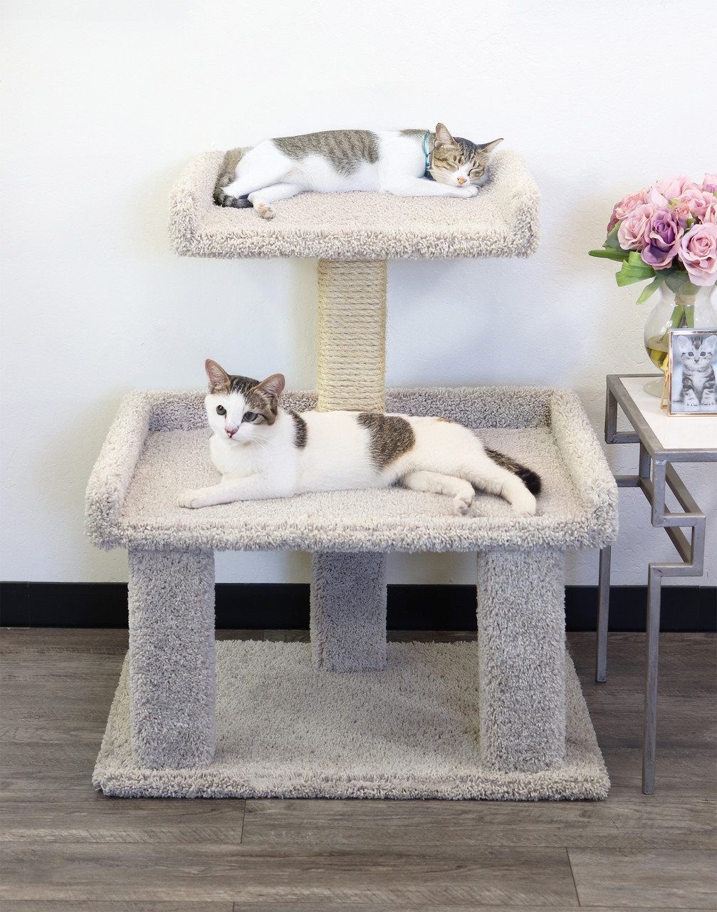 Maine Coon Cat Perch – Extra-Wide Top Platform Cat Tree for Large