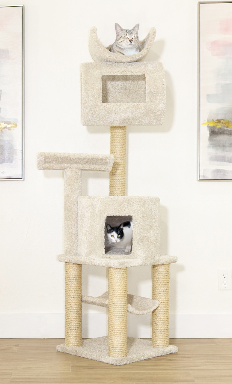 New Cat Condos 66