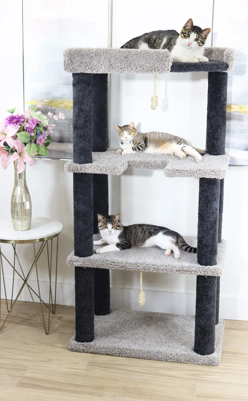 Cat Stand for Large Cats | 60-Inch Solid Wood Cat Tower