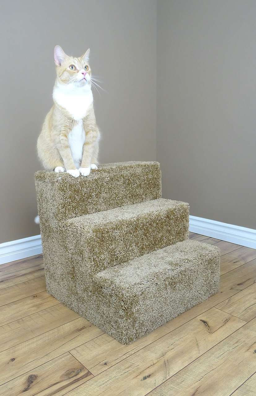 pet stairs for cats