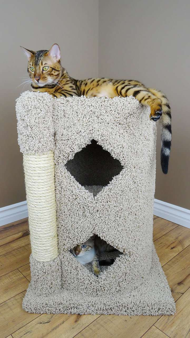 two story cat condo