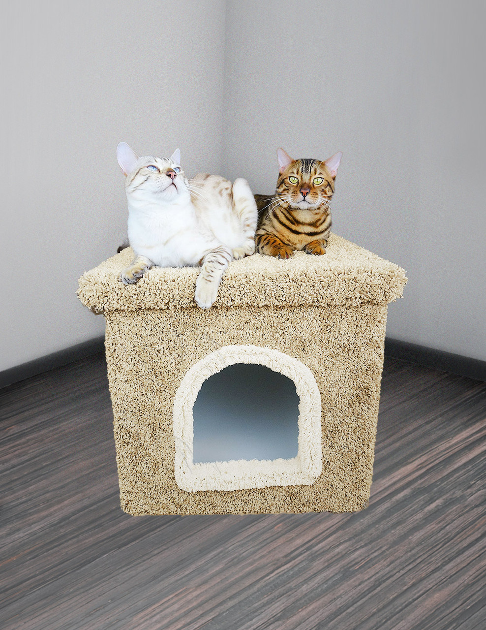 Cat Litter Box Enclosure - New Cat Condos - Premier Litter Box Enclosure