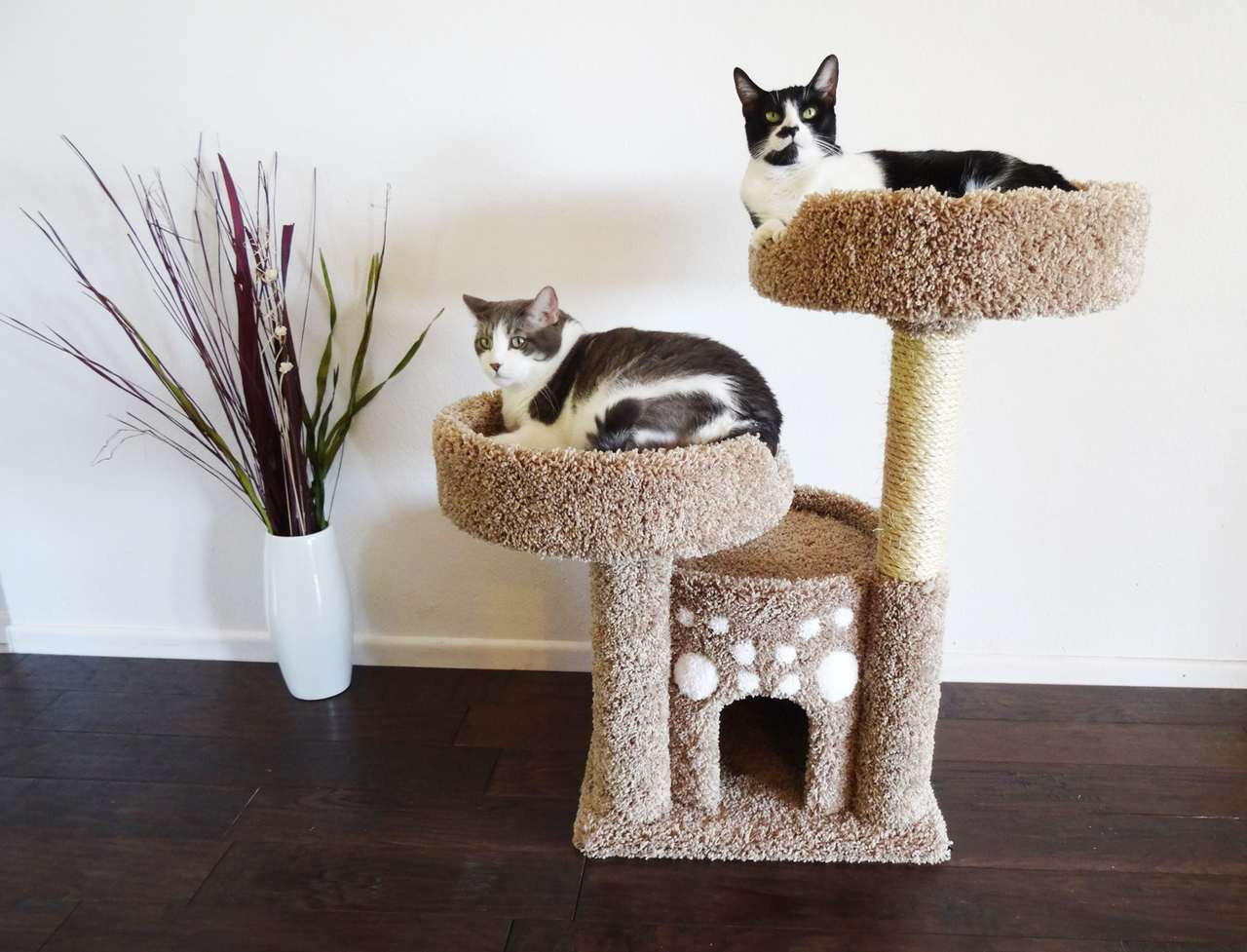 double cat tower