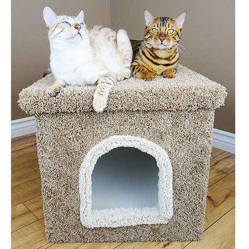 Litter Box Enclosures
