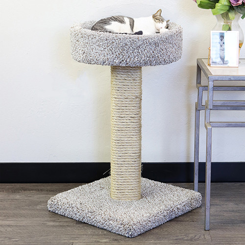 Cat Scratching Posts