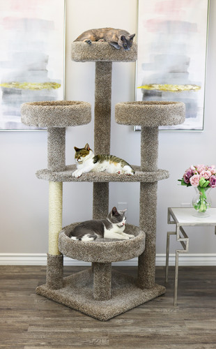 maine coon cat tower solid wood cat tree