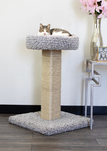 Solid Wood Cat Scratcher with Bed – New Cat Condos Handcrafted in USA -Lifestyle Solid Wood Cat Scratcher with Bed – New Cat Condos Handcrafted in USA -Lifestyle