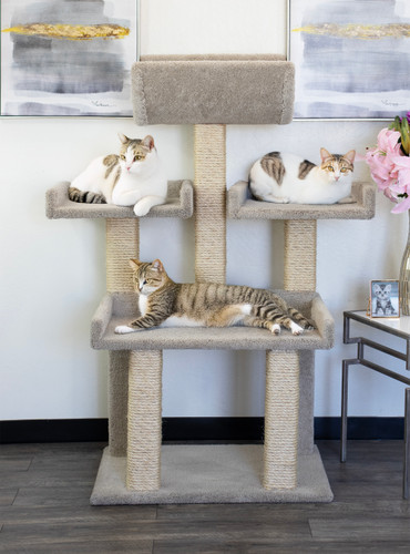 Prestige Cat Trees Extra Large Cat Tower for Big Cats lifestyle Image with Cats Prestige Cat Trees Extra Large Cat Tower for Big Cats lifestyle Image with Cats