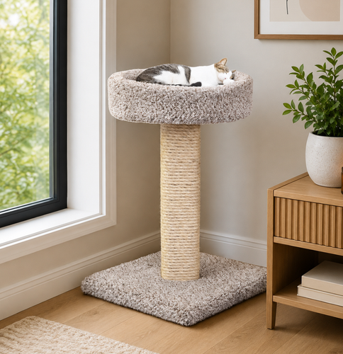 Solid Wood Cat Scratching Post with Bed