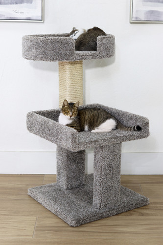 Multi-cat household large cats on solid wood cat furniture with sisal rope scratching post