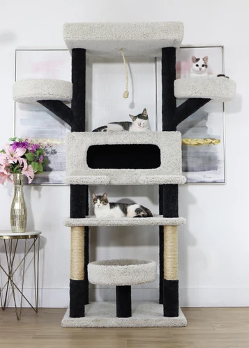 Cat House for Multiple Cat Households, Beige and Black Carpet
