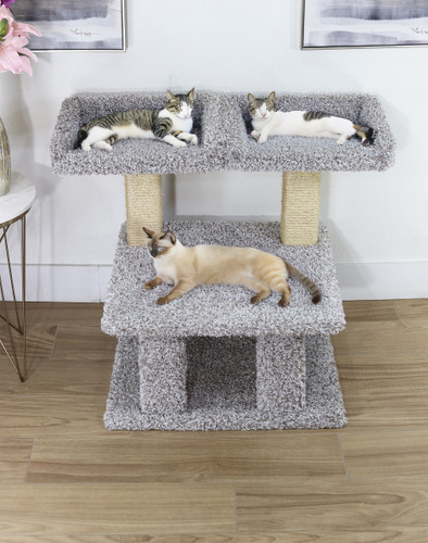 New Cat Condos Extra Large Cat Post with 2 Window Perches lifestyle with cats New Cat Condos Extra Large Cat Post with 2 Window Perches lifestyle with cats