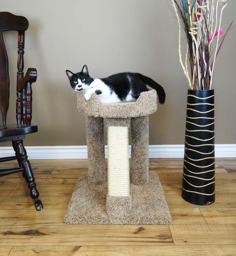 new cat condos triple cat perch