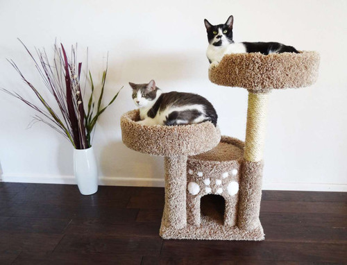 double perch solid wood cat condo with carpeted platforms
