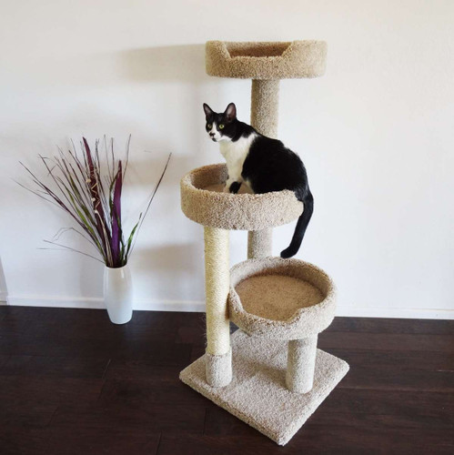 Medium Cat Trees
