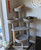 Multi-Level Cat Tower for Large Cats