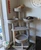 Multi-Level Cat Tower for Large Cats
