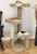 51 inch solid wood large cat tree carpeted platforms