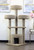 Cat Condo Tower