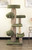 Cat tree that looks like a real tree with hammock perches and sisal scratching posts