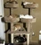 Best Cat Tree for multi-cat households