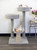 New Cat Condos Multi-Level Cat Perch Lifestyle With Cats New Cat Condos Multi-Level Cat Perch Lifestyle With Cats