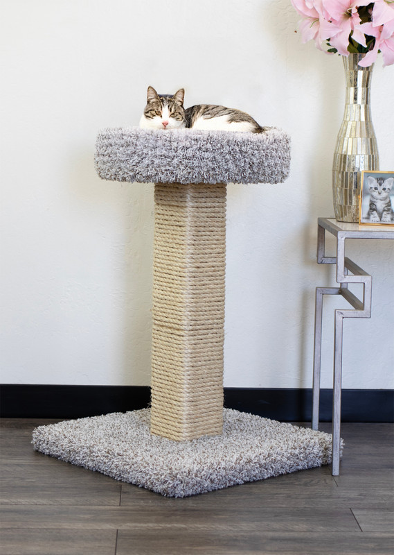 Cat Scratching Post with Bed for Large Cats | Solid Wood Heavy Duty Scratcher