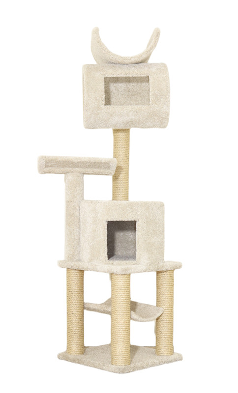 New Cat Condos 66