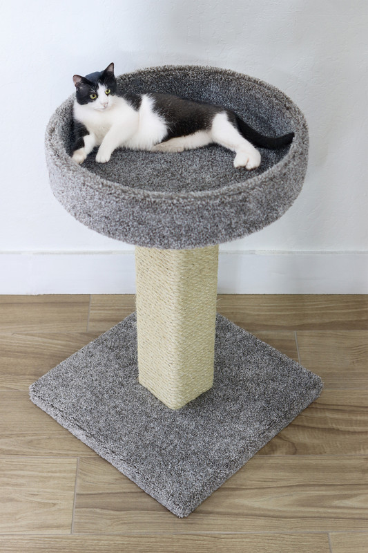 Heavy Duty Cat Scratching Post for Large Cats | Solid Wood with Extra-Large Perch