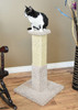 Premier Solid Wood Scratching Post