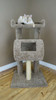 Premier Cat Climber Cat Tree in Brown