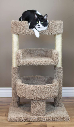 new cat condos triple cat perch