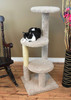 New Cat Condos 46-inch Cat Tower